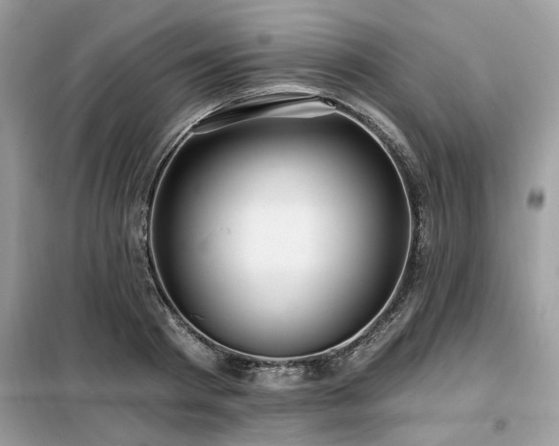 X0000099420793200805091241