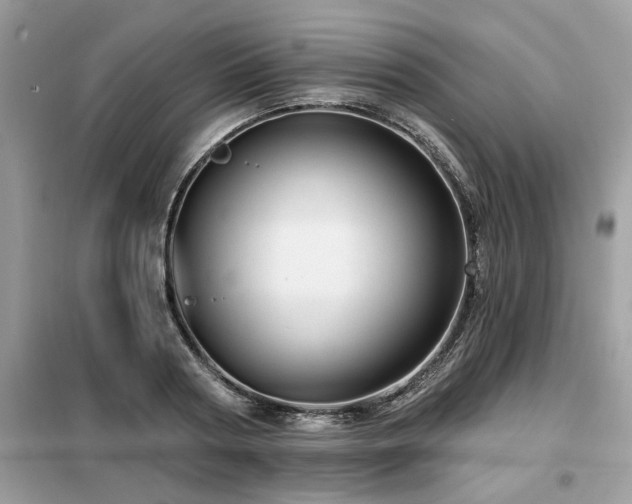 X0000099420794200805091241