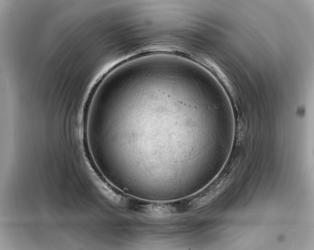 X0000099420795200805091241