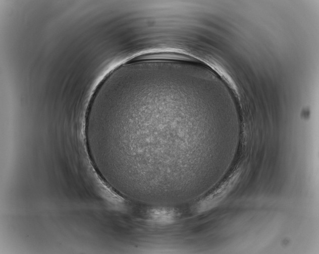 X0000099420797200805091241