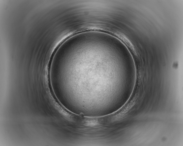 X0000099420798200805091241