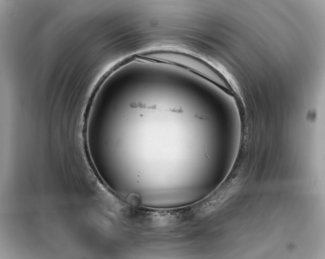 X0000099420799200805091241