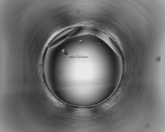 X0000099420800200805091241