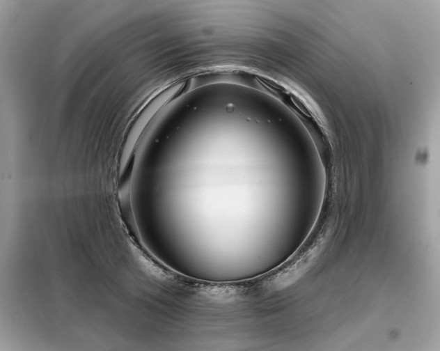 X0000099420801200805091241