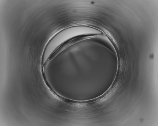 X0000099420802200805091241