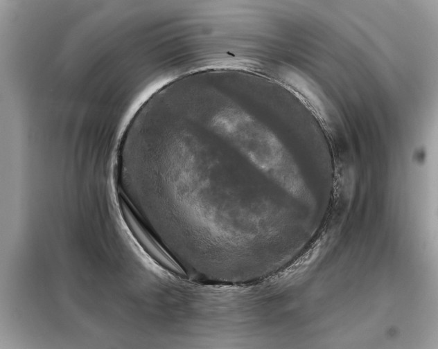 X0000099420804200805091241
