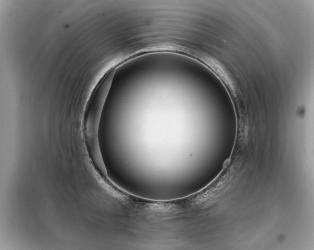 X0000099420805200805091241