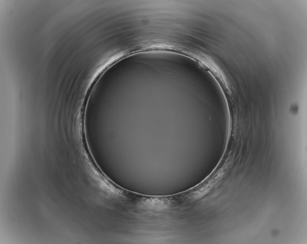 X0000099420806200805091241
