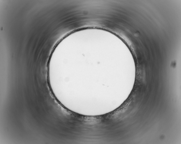 X0000099420807200805091241