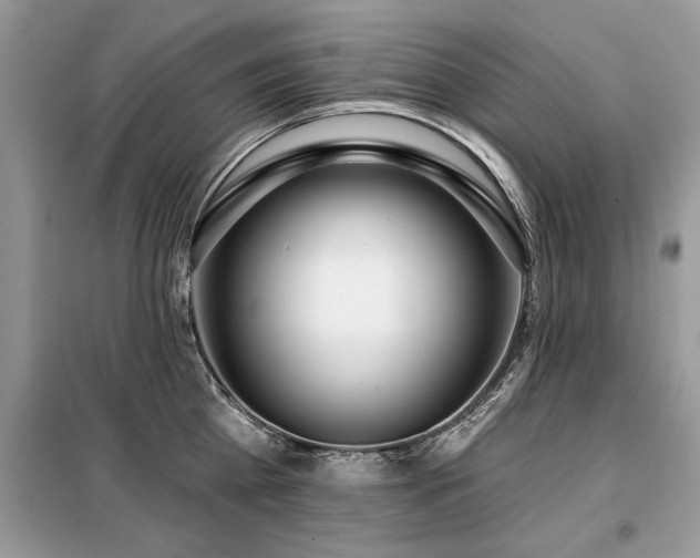 X0000099420809200805091241