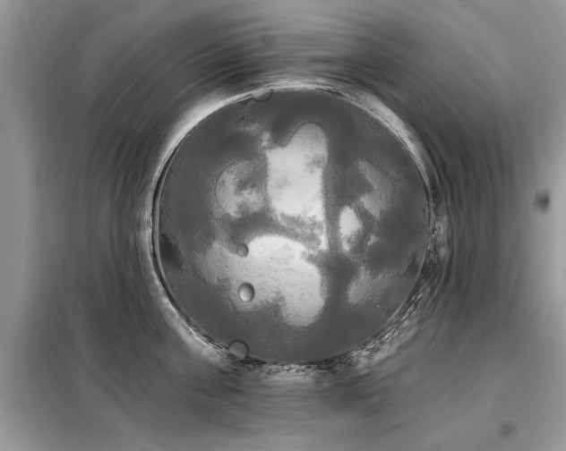 X0000099420811200805091241