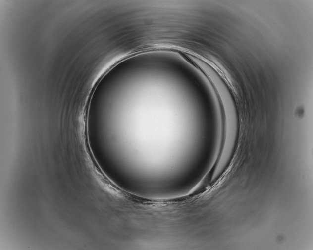 X0000099420814200805091241