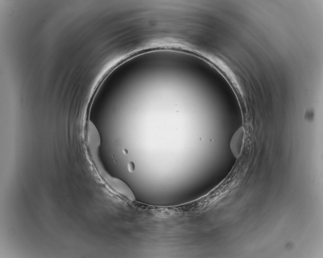 X0000099420815200805091241