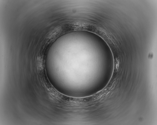 X0000099420819200805091240