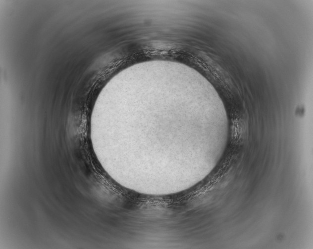 X0000099420820200805091240