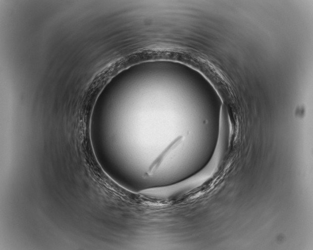X0000099420821200805091240