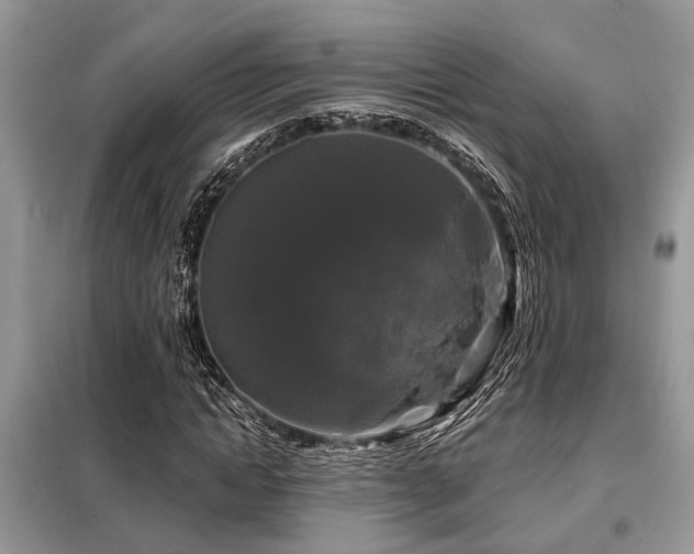 X0000099420822200805091241
