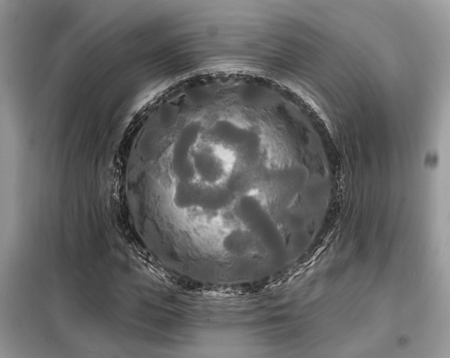 X0000099420823200805091241