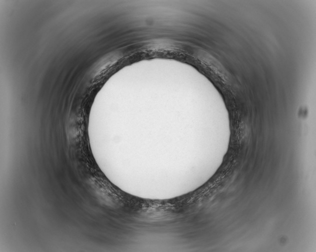 X0000099420824200805091241