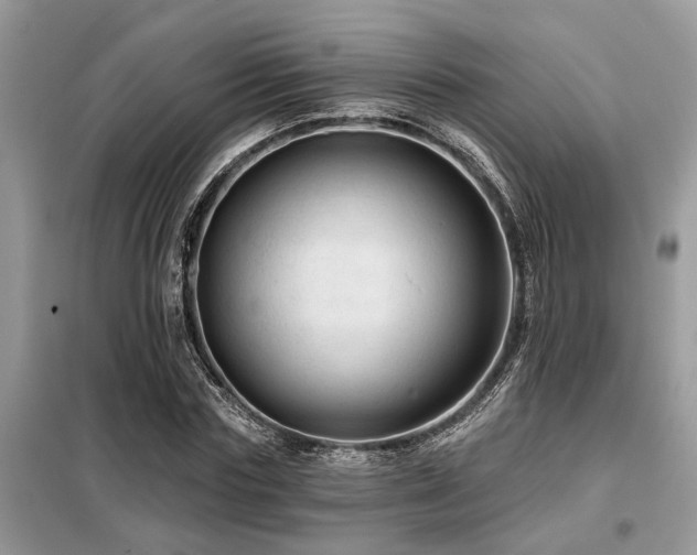 X0000099420827200805091241