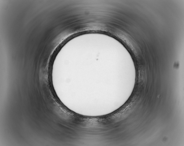 X0000099420828200805091241
