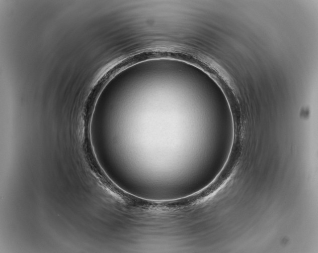 X0000099420829200805091241