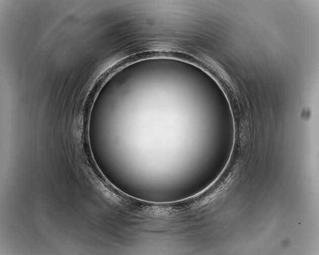 X0000099420831200805091241
