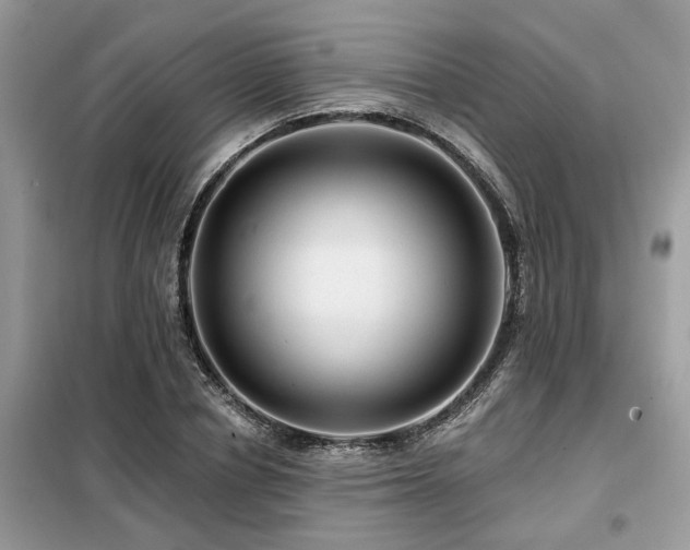 X0000099420834200805091241