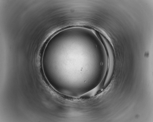 X0000099420835200805091241