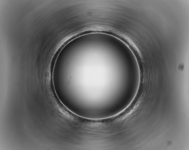 X0000099420837200805091241