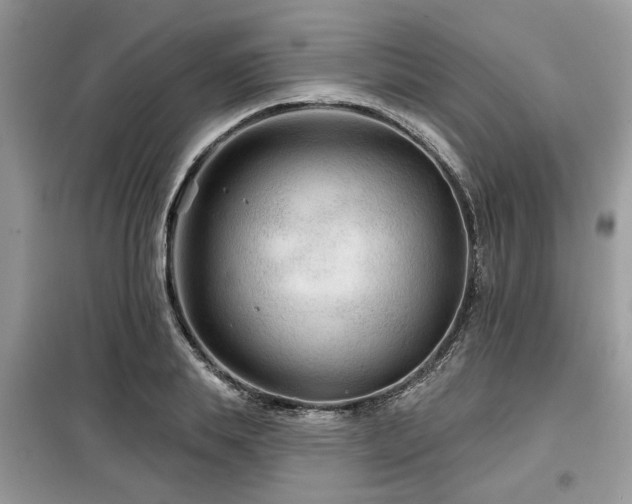 X0000099420839200805091241