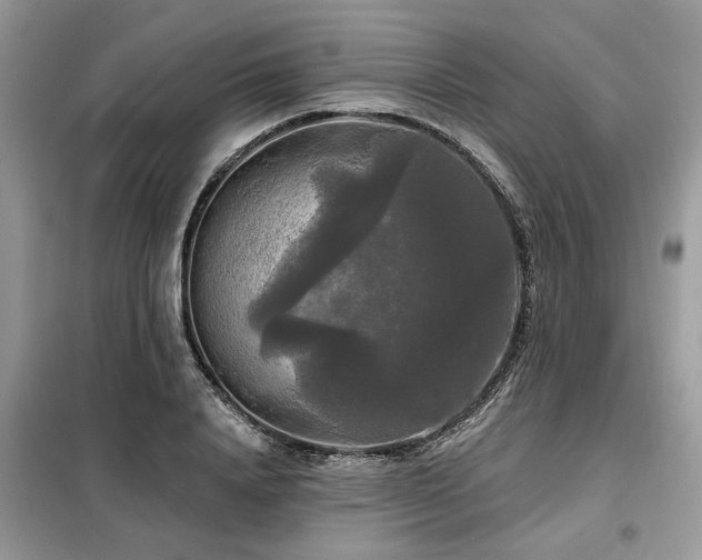 X0000099420840200805091241