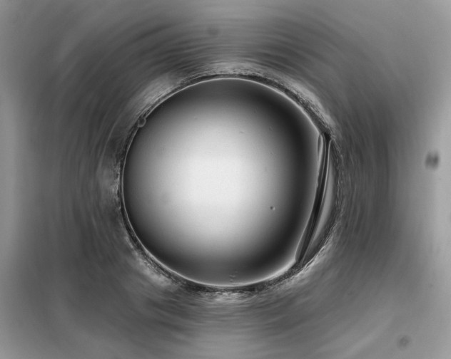X0000099420841200805091241