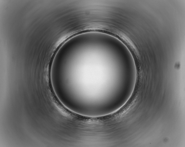 X0000099420842200805091241