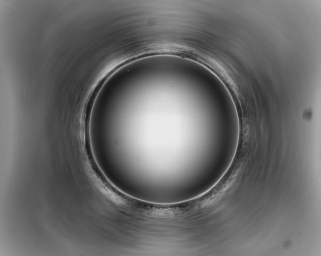 X0000099420843200805091241