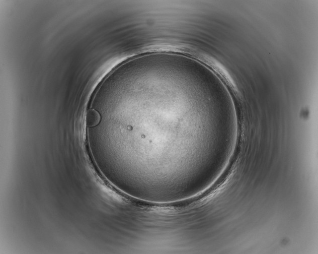 X0000099420844200805091241