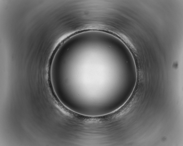 X0000099420846200805091241