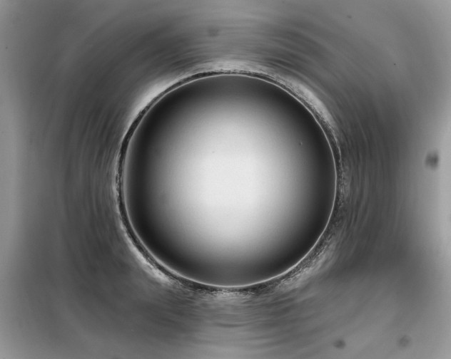 X0000099420847200805091241