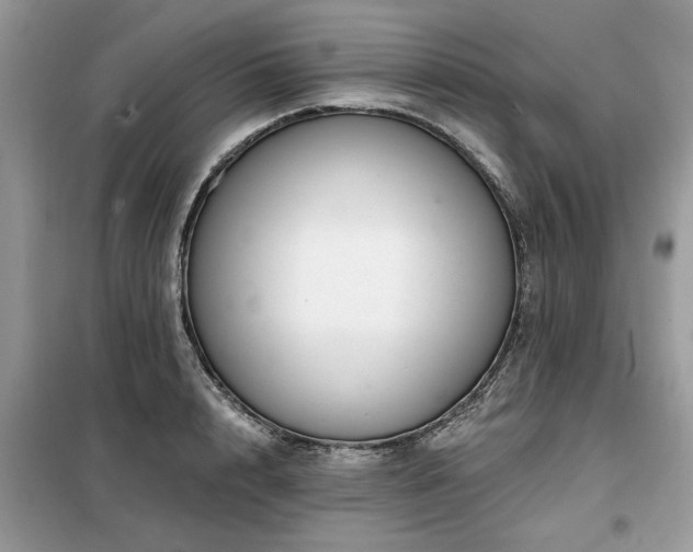 X0000099420848200805091241