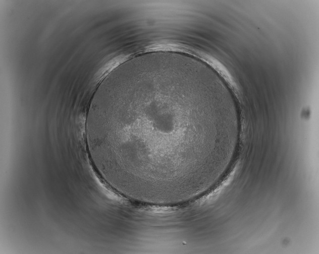 X0000099420849200805091241