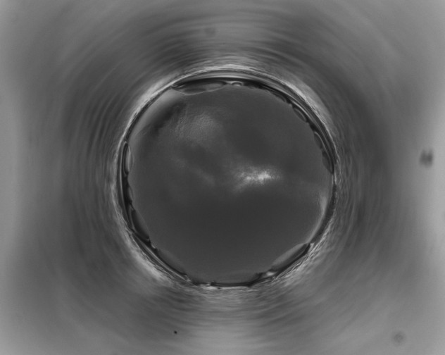 X0000099420850200805091241