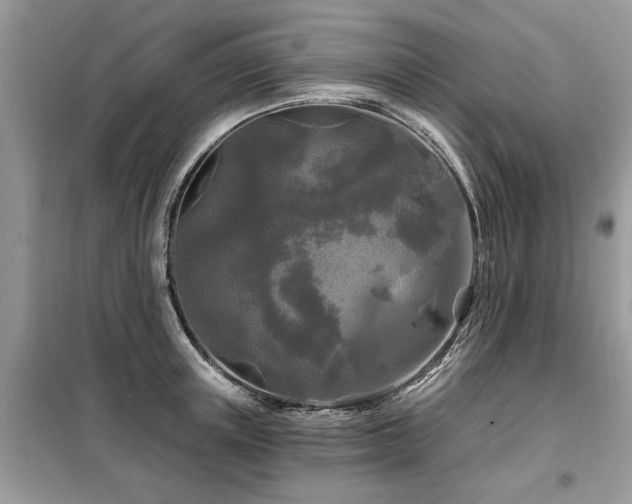 X0000099420851200805091241