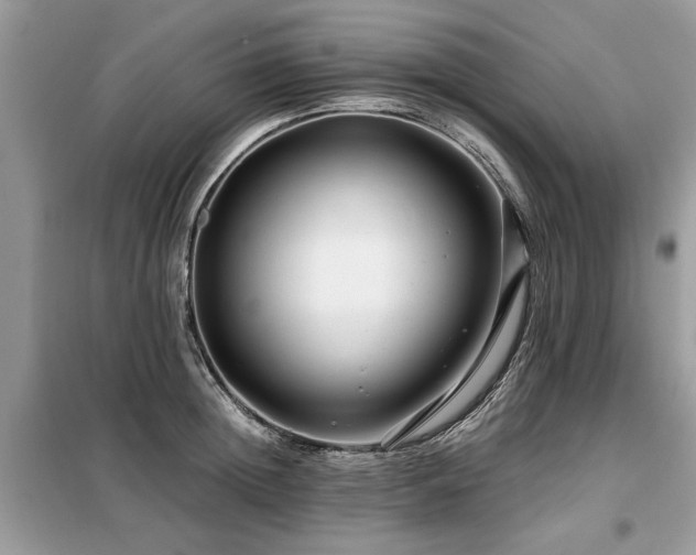 X0000099420852200805091241