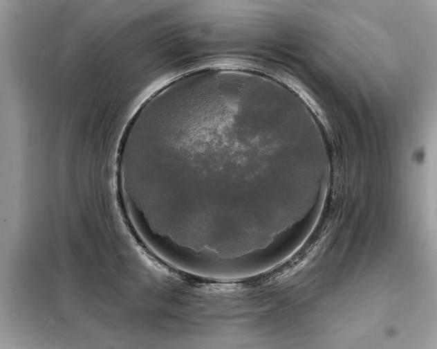 X0000099420853200805091241