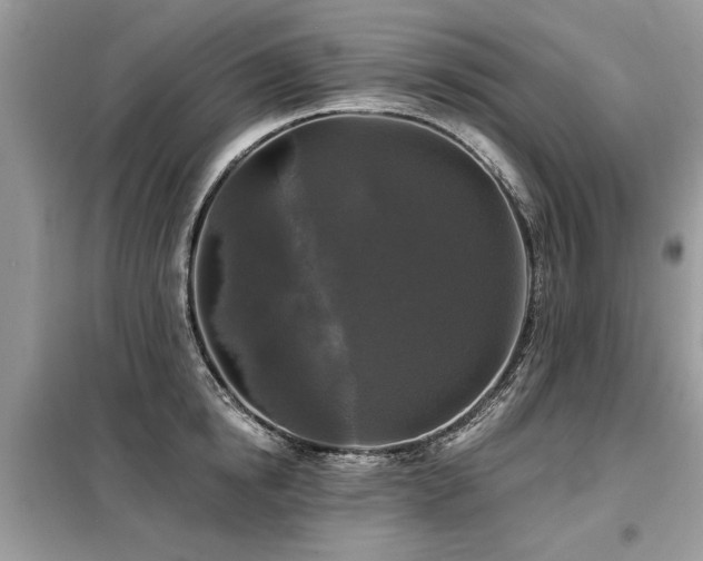 X0000099420854200805091241