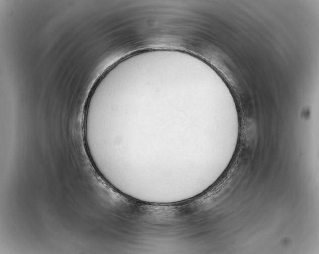 X0000099420856200805091241