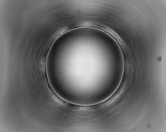X0000099420857200805091241