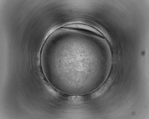 X0000099420858200805091241