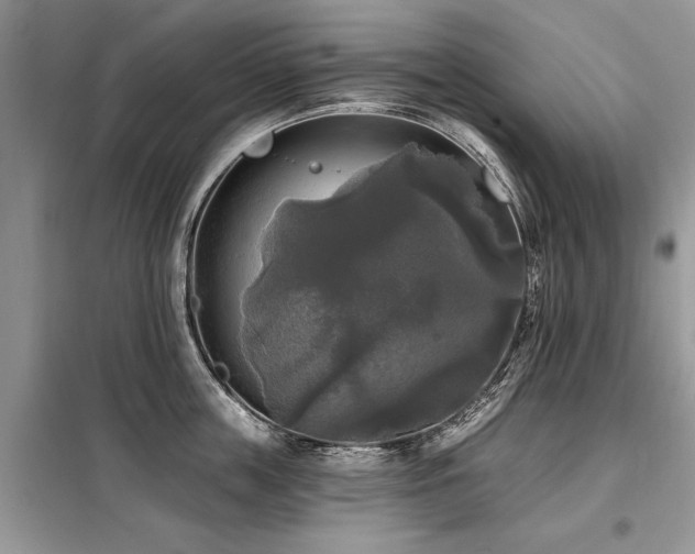 X0000099420859200805091241
