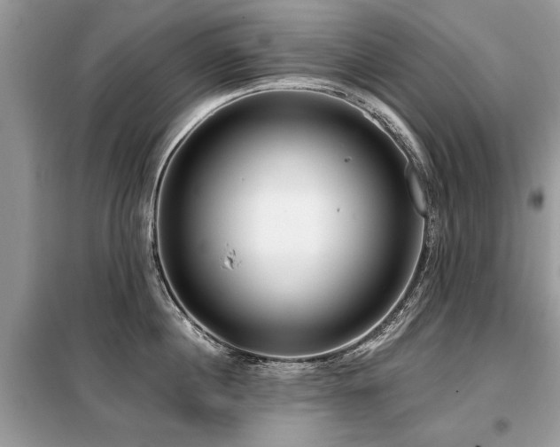 X0000099420860200805091241